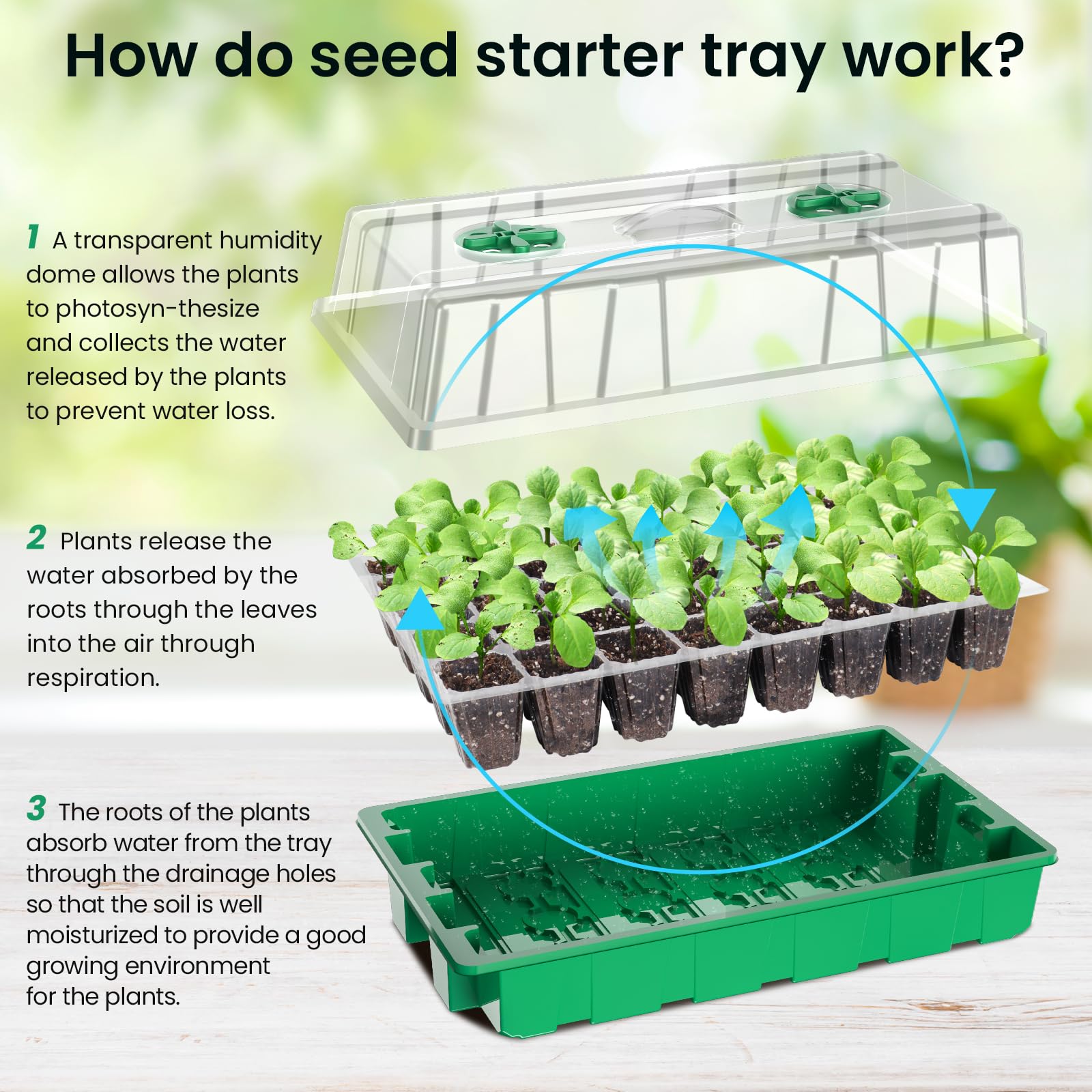 MIXC Seed Starter Tray with Lights, 2 Packs Mini Propagator Plant Grow Kit Greenhouse with Humidity Vented Domes and Base for Seeds Starting, Black