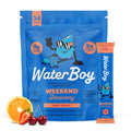 Waterboy - Weekend Recovery, Blue Raspberry, Sugar Free Electrolytes Powder Drink Mix - 24ct Hydration Packets