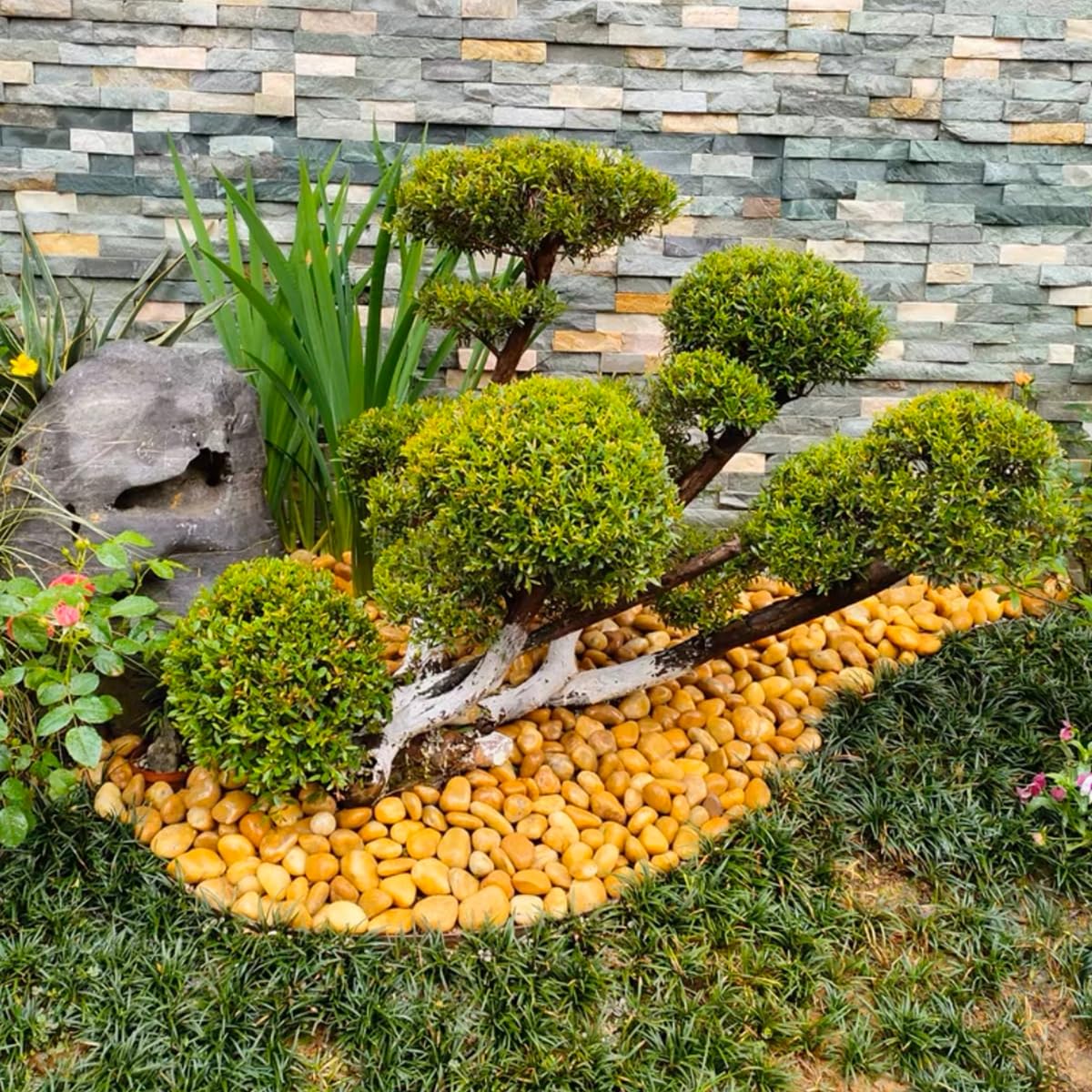 YISZM 5lbs Black Pebbles for Plants, 2-3 Inch High Polished Natural Large River Rocks for Landscaping, Decorative Stones Vase Filler Fish Tank Aquariums Garden Outdoor and Indoor DIY