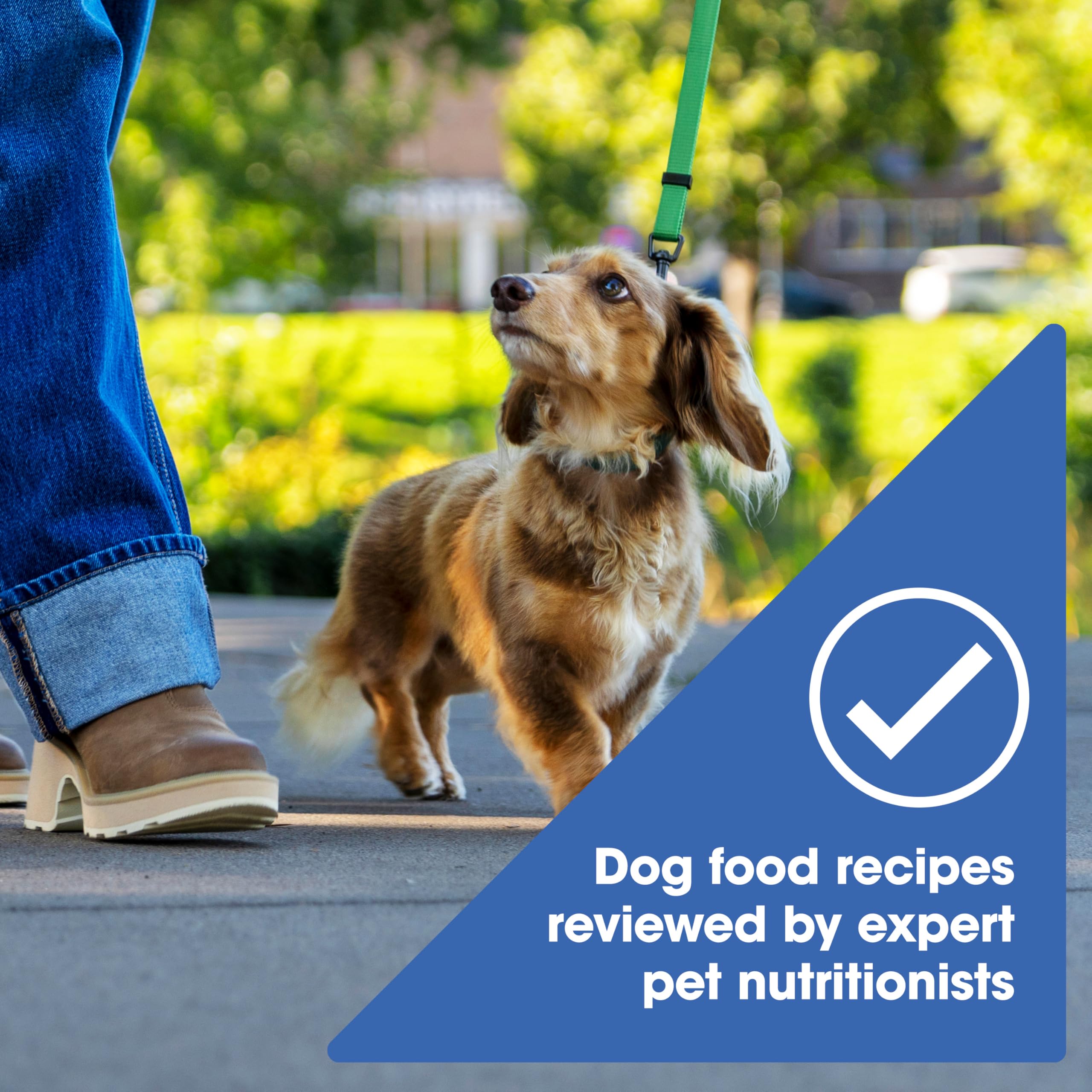 Nature's Recipe Grain Free Small Breed Dry Dog Food, Chicken, Sweet Potato & Pumpkin Recipe, 4 lb. Bag