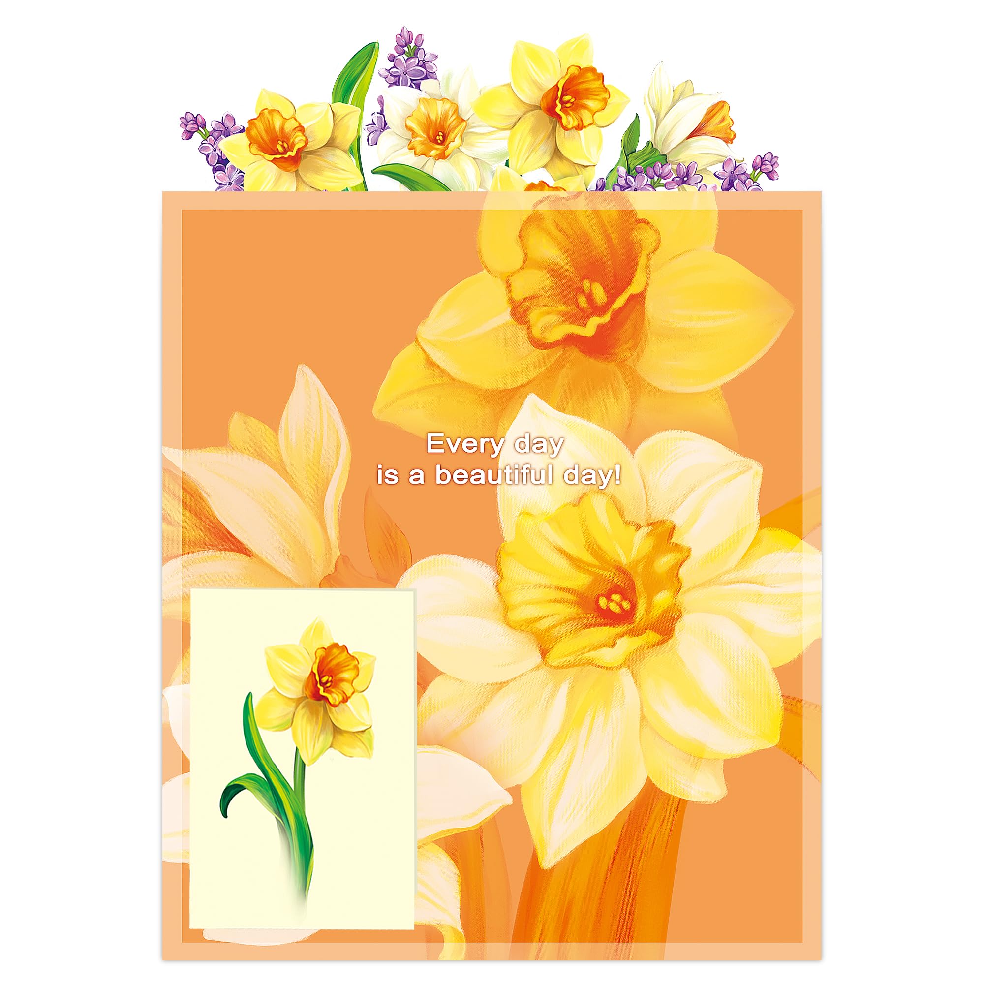 Airpark 3D Pop Up Paper Flowers Bouquet Card 12’‘ with Note & Envelope, Birthday Gifts, Get Well, Thank You, Greeting Cards for Women Mom Wife Friends, Daisies and Butterflies