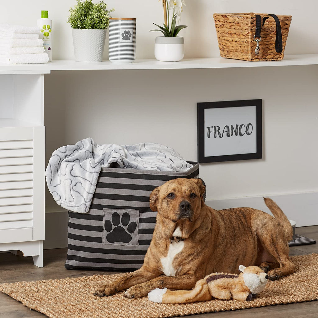 Bone Dry Pet Storage Collection Striped Paw Patch Bin, Aqua, Small Rectangle
