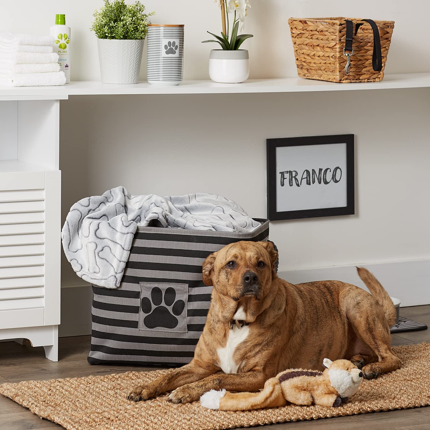 Bone Dry Pet Storage Collection Striped Paw Patch Bin, Aqua, Small Rectangle