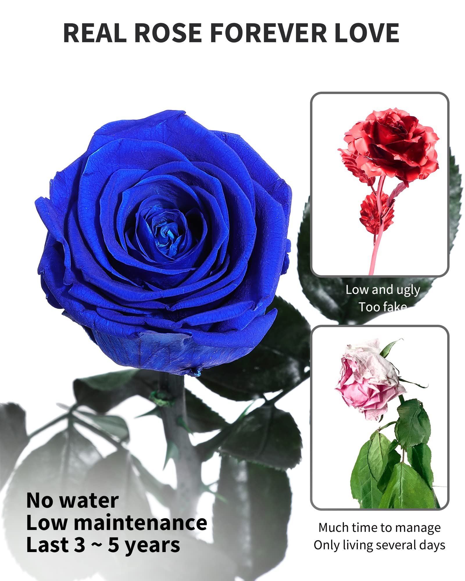 Flowers for Delivery Prime, Preserved Roses Flower Gifts for Women, Real Roses Single Rose Presents for Her, Mom Birthday Gifts from Daughter, Valentines Flowers Red Roses