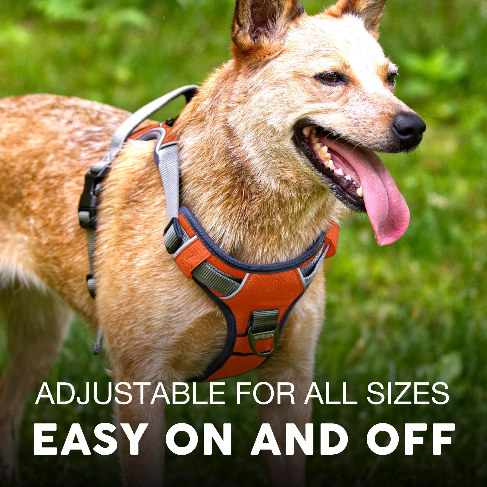 Embark Adventure Dog Harness for Small, Medium & Large Dogs – No Pull, Reflective Trim, Heavy Duty Oxford, 2 Leash Clips, Gel-Lined Handle, Soft Padded