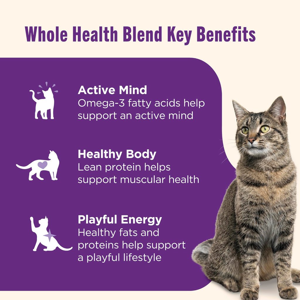 Nutrish Grain Free Wet Cat Food Ocean Fish-A-Licious Whole Health Blend with Real Flaked Ocean Fish & Tuna in Sauce, 2.8 oz. Cup (Rachael Ray) (Pack of 12)