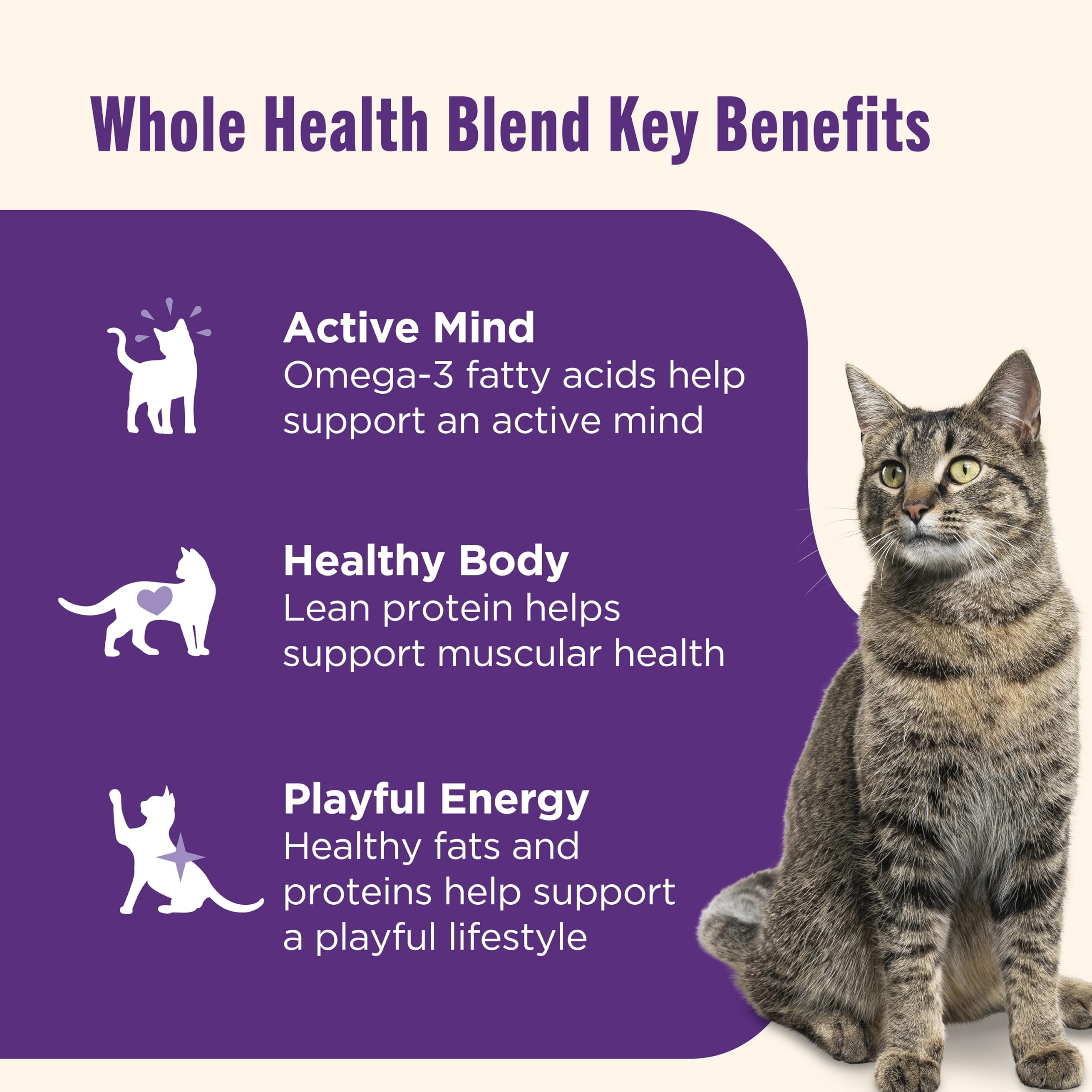 Nutrish Grain Free Wet Cat Food Ocean Fish-A-Licious Whole Health Blend with Real Flaked Ocean Fish & Tuna in Sauce, 2.8 oz. Cup (Rachael Ray) (Pack of 12)