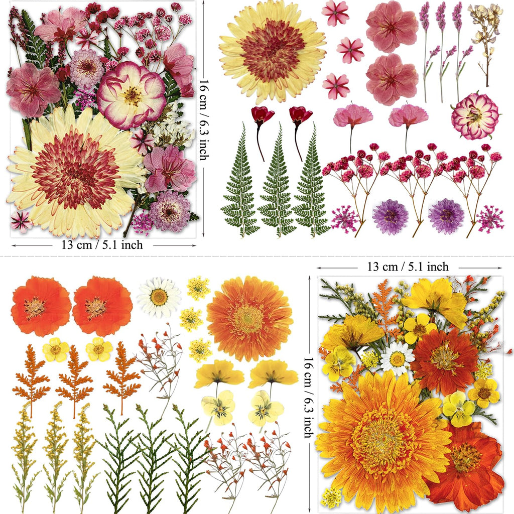 MIKIYA 98Pcs Pressed Dried Flowers for Resin Molds, Real Natural Bulk Big Dry Floral Leave for DIY Art Crafts, Epoxy Jewelry, Candle, Soap Making, Nails Decors