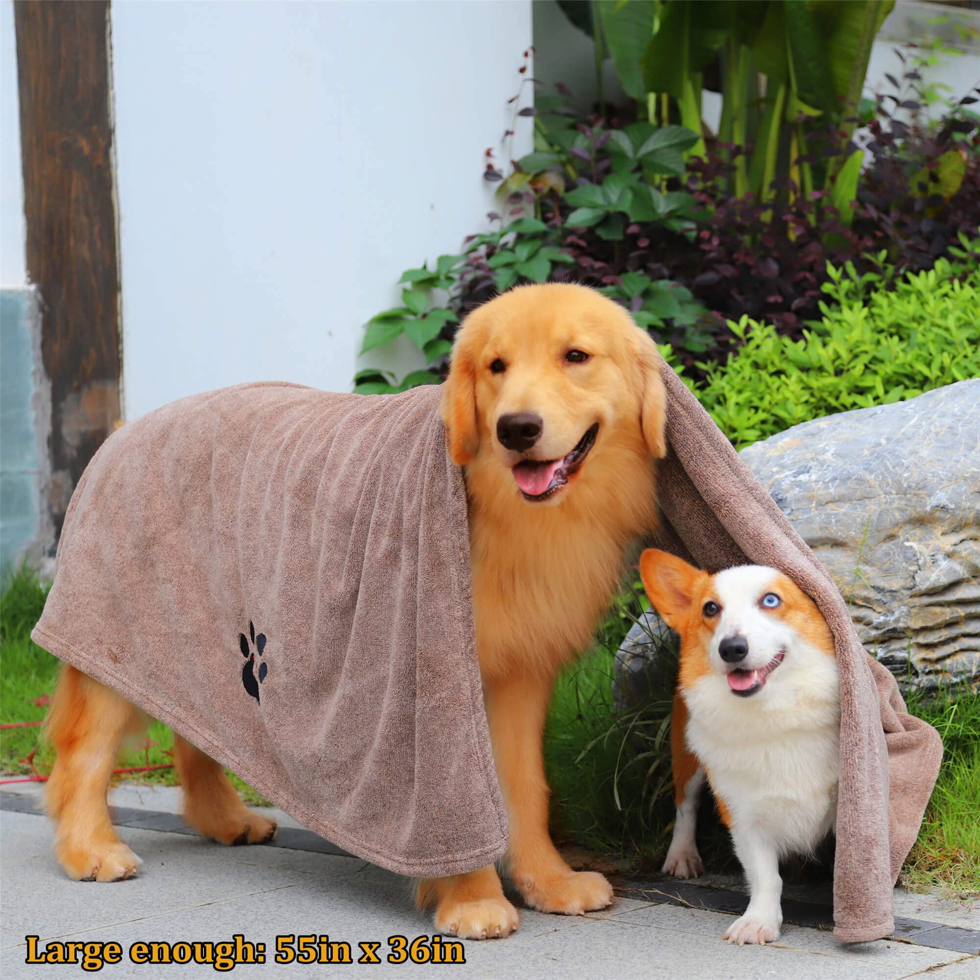 Dogvingpk Medium Dog Towel 4 Pack, Super Absorbent Soft Quick Drying Microfiber Pet Bath Towels for Medium & Small Dogs (M-36" * 28", 2Grey and 2Brown)