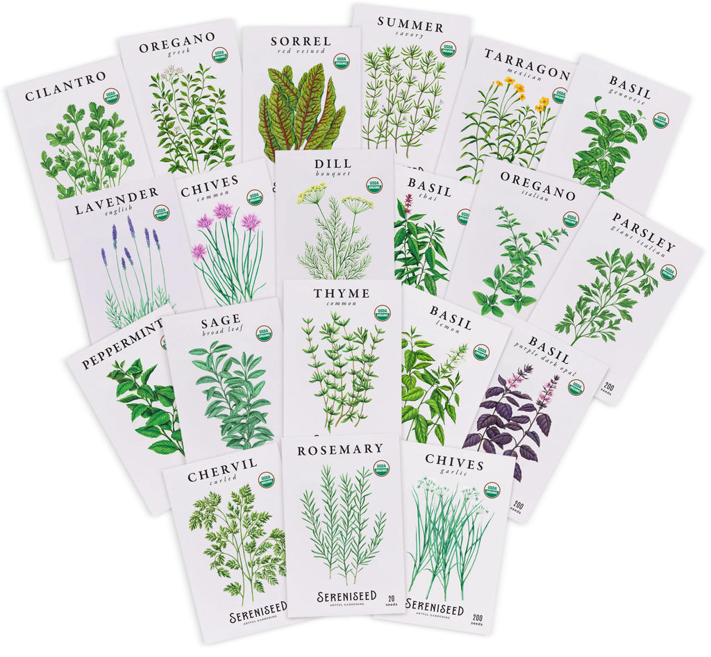 Sereniseed Certified Organic Herb Seeds (10-Pack) – Non GMO, Heirloom – Seed Starting Video - Basil, Cilantro, Oregano, Thyme, Parsley, Lavender, Chives, Sage, Dill Seeds for Indoor & Outdoor Planting