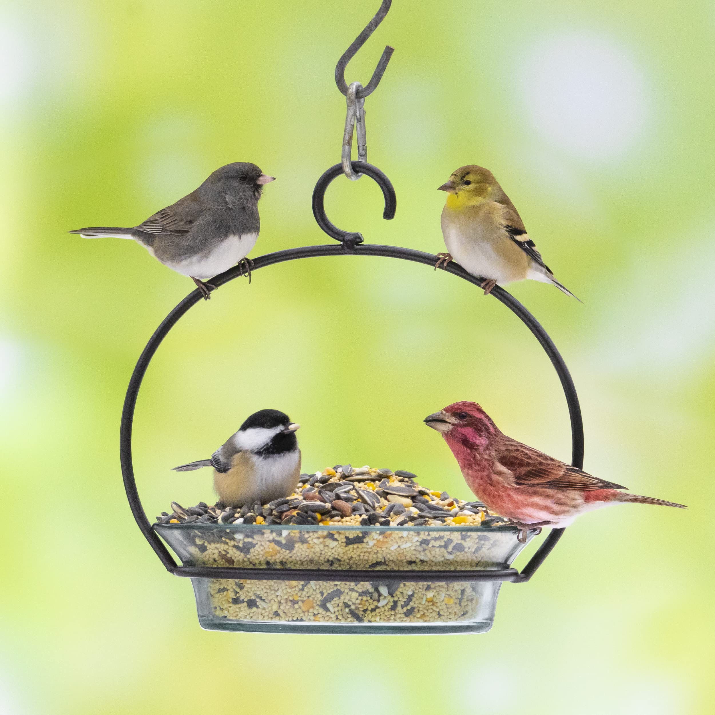 Audubon Park Songbird Blend Wild Bird Food, Bird Food for Outside Feeders, 14-Pound Bag | Year-round outdoor bird food for outside feeders