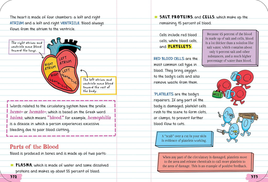 Everything You Need to Ace Biology in One Big Fat Notebook