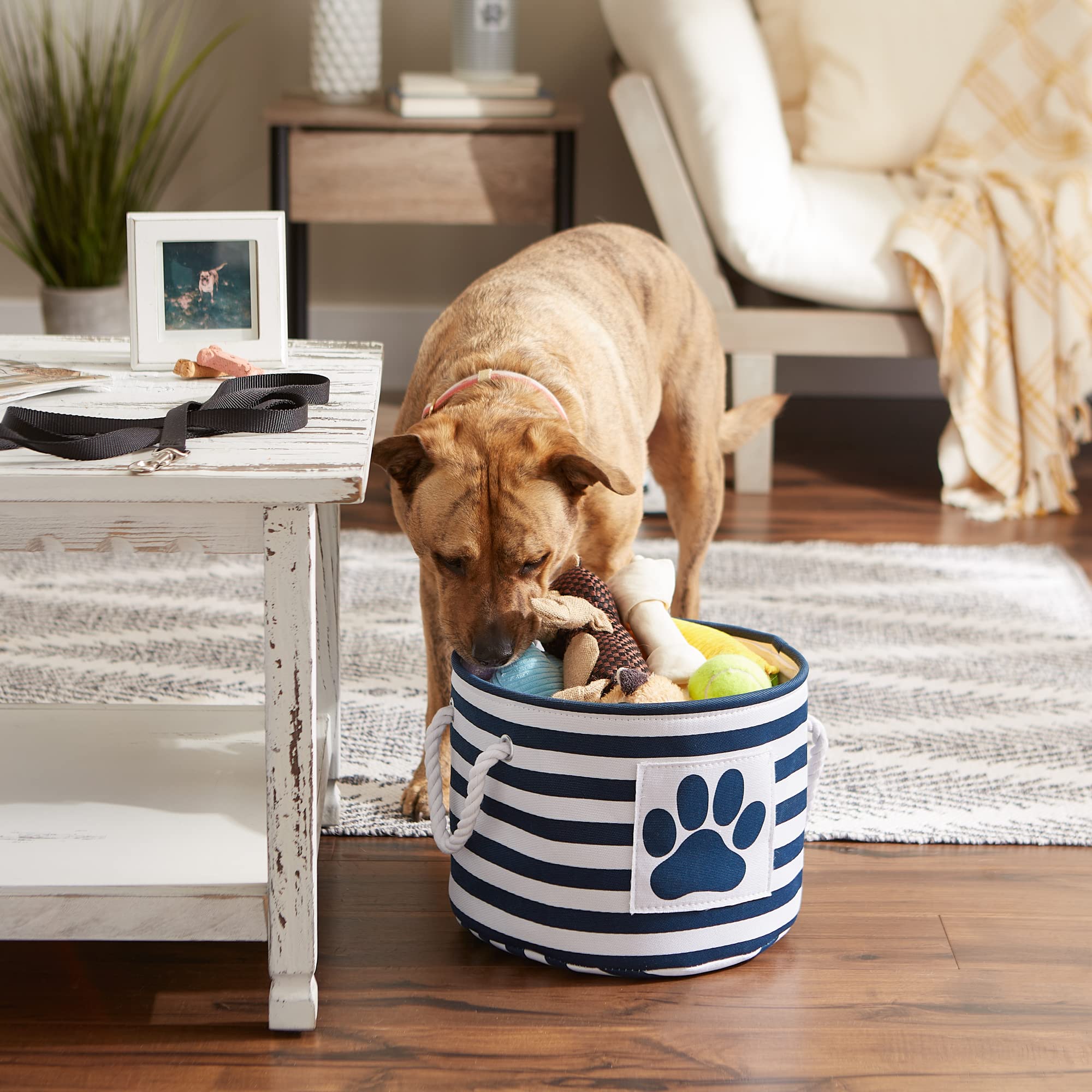 Bone Dry Pet Storage Collection Striped Paw Patch Bin, Aqua, Small Rectangle