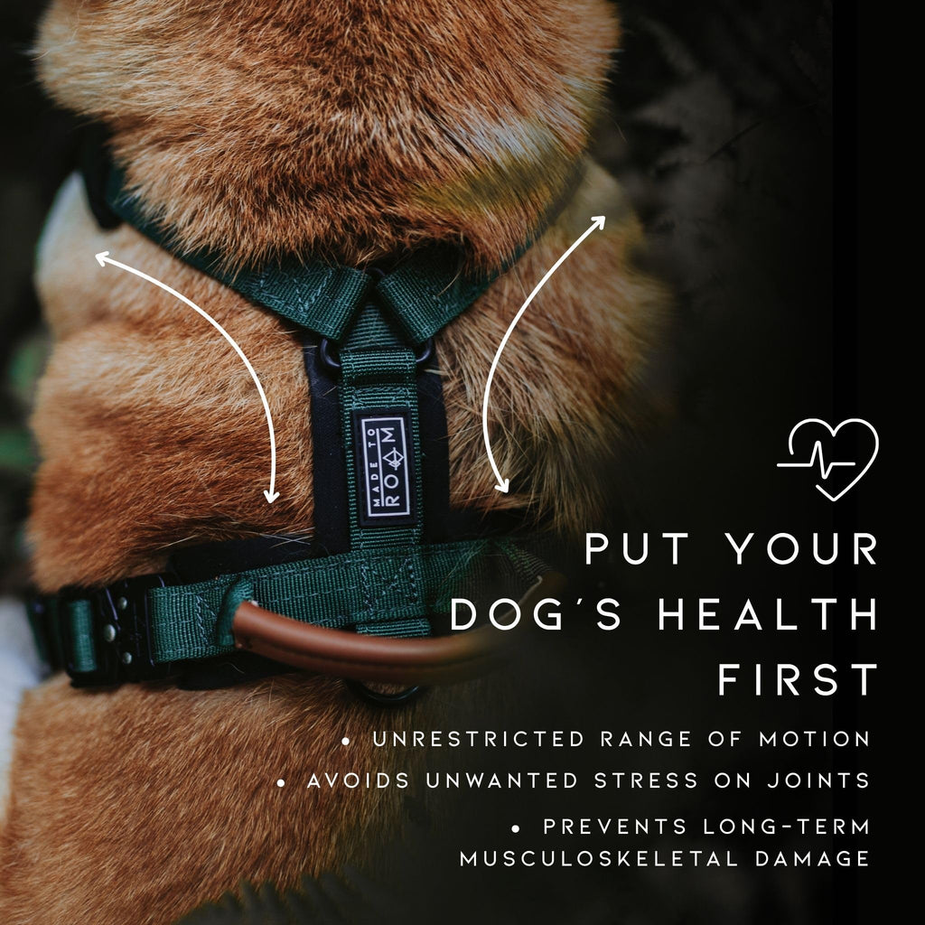 MADE TO ROAM Premium Explorer Harness - Y-Shaped Dog Harness with Adjustable Durable Nylon, Soft Padding, Metal Buckles and Leather Handle for Small, Medium, Large Dogs (Alaska Daybreak, Size 1)