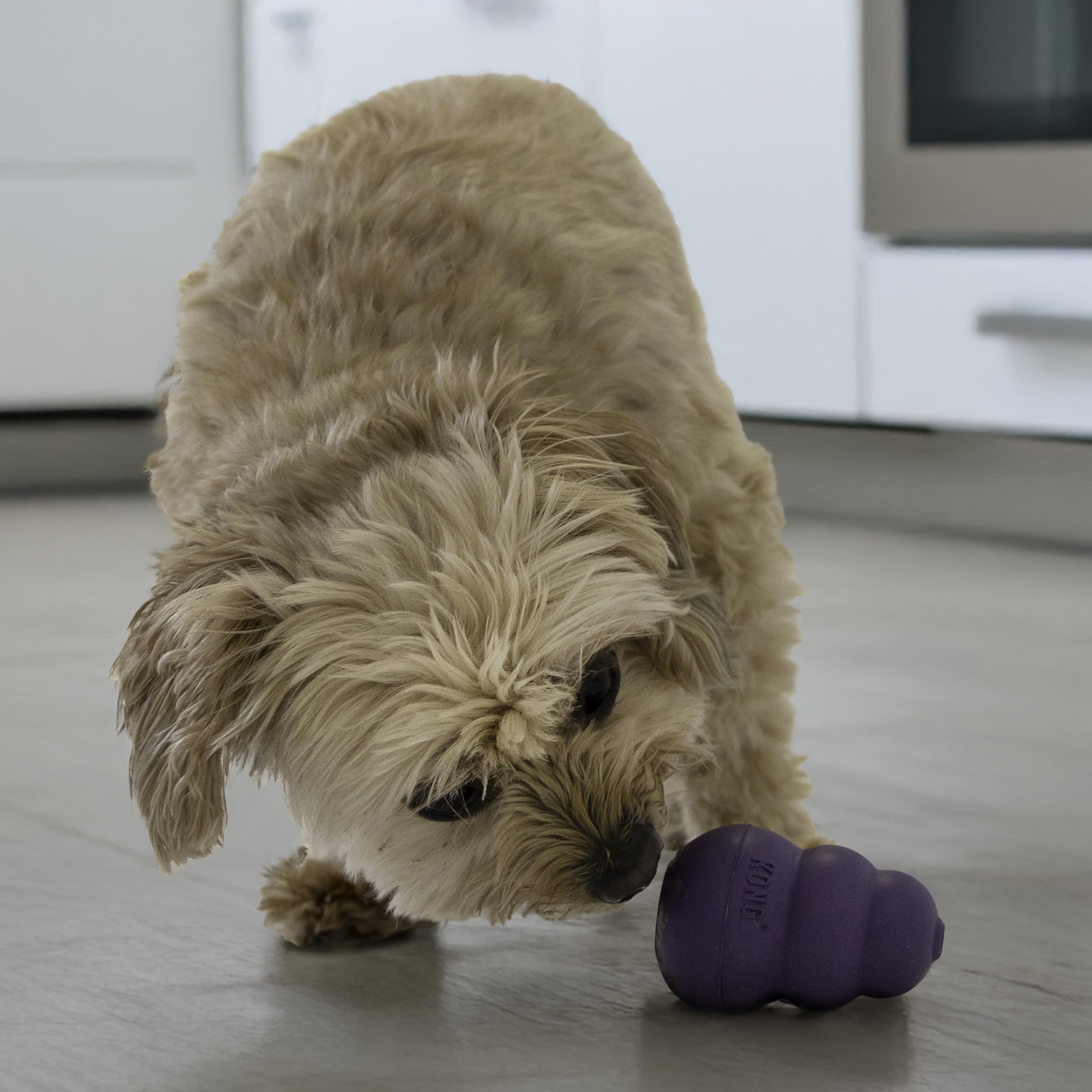 KONG Senior - Dog Toy with Gentle, Natural Rubber - Durable Dog Toy for Older Dogs - Use Treats with Stuffable Chew Toy - Treat Toy for Chewing & Fetching - for Small Dogs