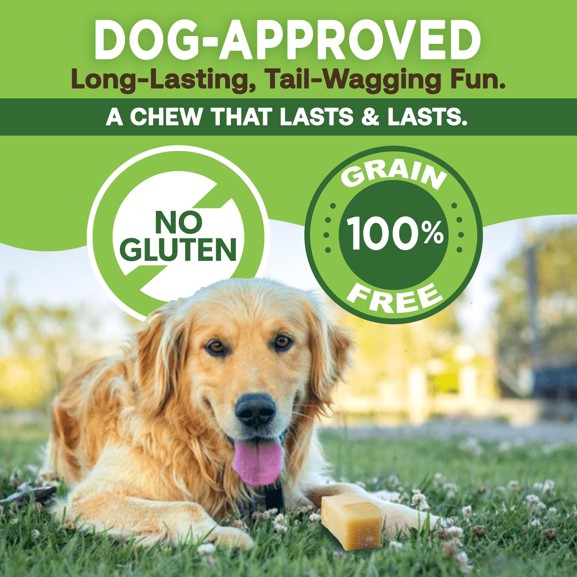 EcoKind Yak Cheese Himalayan Dog Chews, Yak Chews for Small Dogs, Long Lasting Bone for Aggressive Chewers, Only 3 Ingredients, Natural High Protein Treat, No Additives, Lactose Free, Small - 16 Chews