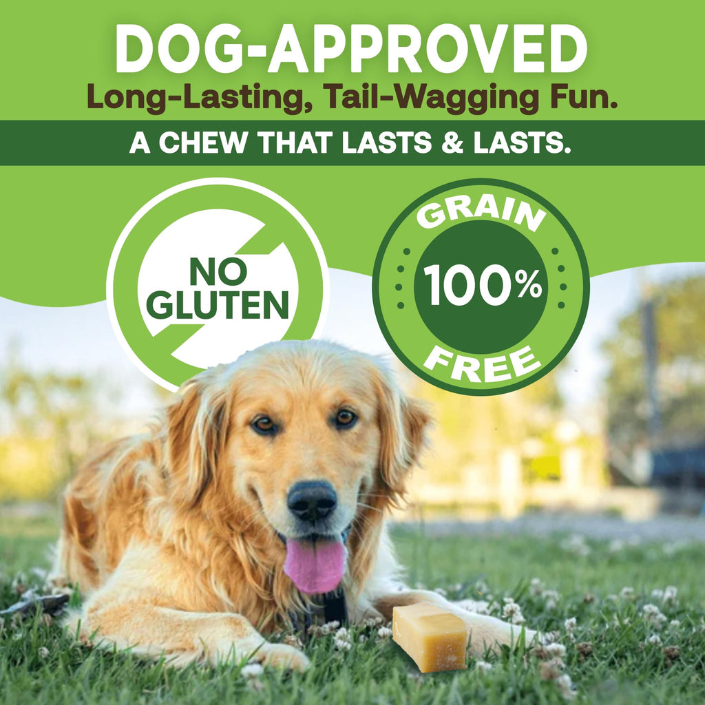 EcoKind Yak Cheese Himalayan Dog Chews, Yak Chews for Small Dogs, Long Lasting Bone for Aggressive Chewers, Only 3 Ingredients, Natural High Protein Treat, No Additives, Lactose Free, Small - 16 Chews