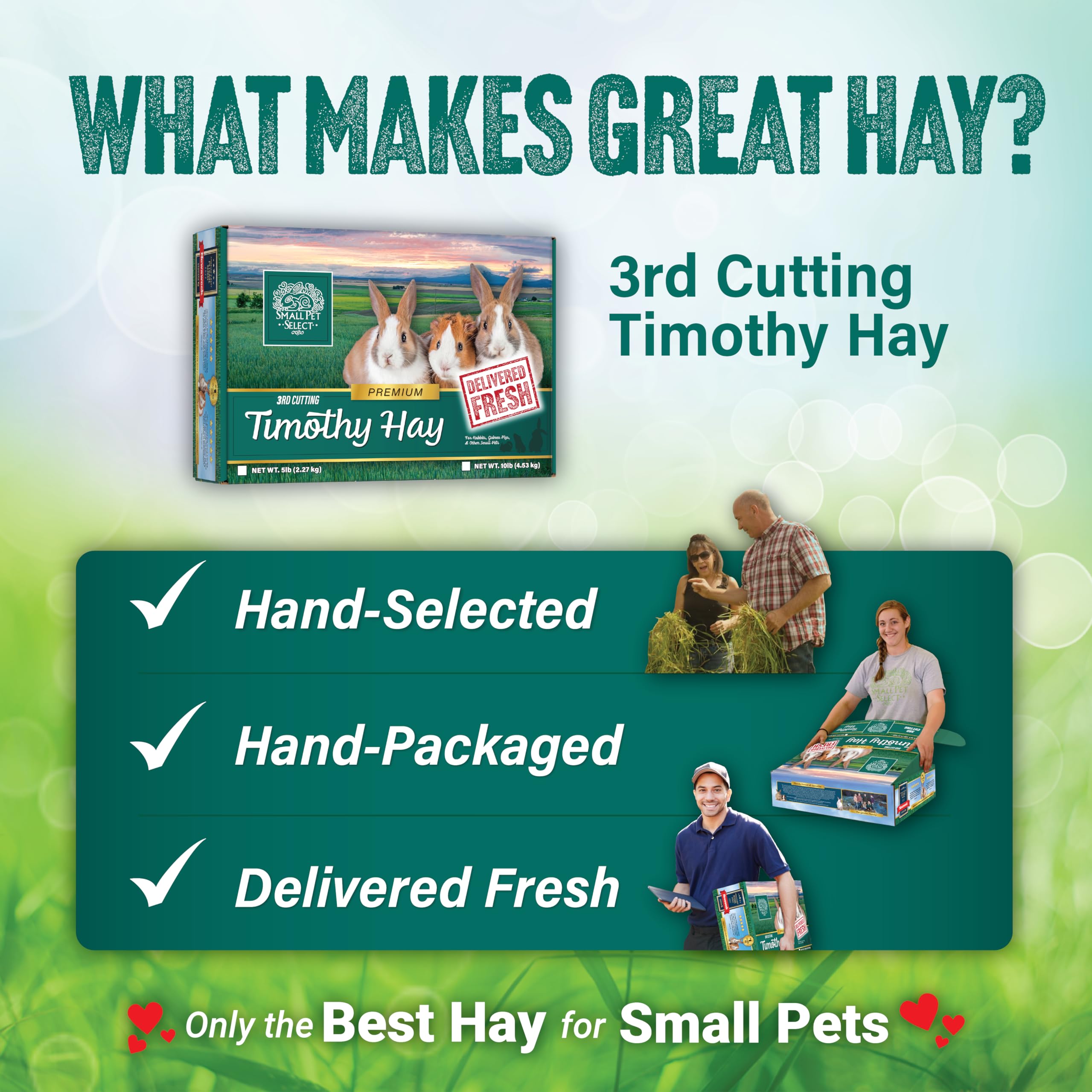 Small Pet Select 3rd Cutting Super Soft Timothy Hay Pet Food for Picky Eaters, Rabbits, Guinea Pigs, and Other Small Animals, Easy to Store Box, 2 LB