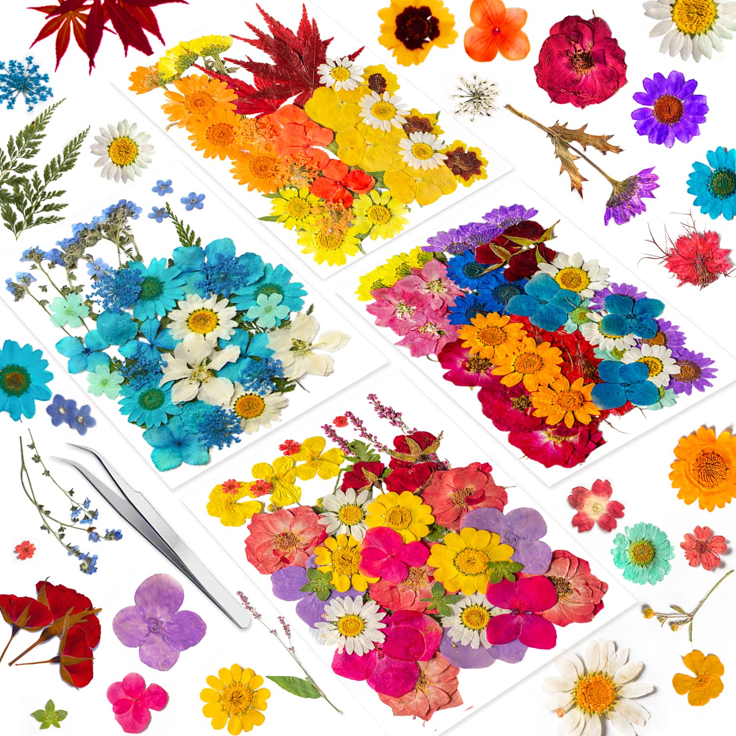 96PCS Vintage White Dried Pressed Flowers for Resin Craft - YouthBro Real Nature Flowers Set with 50 PCS Butterfly Stickers for DIY Scrapbook Art Floral Decors