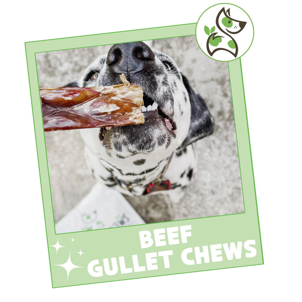 Nature Gnaws Beef Gullet Chews for Small Dogs 4-5" (20 Count) - Natural Beef Jerky Stick Dog Chew Treats - Rawhide Free
