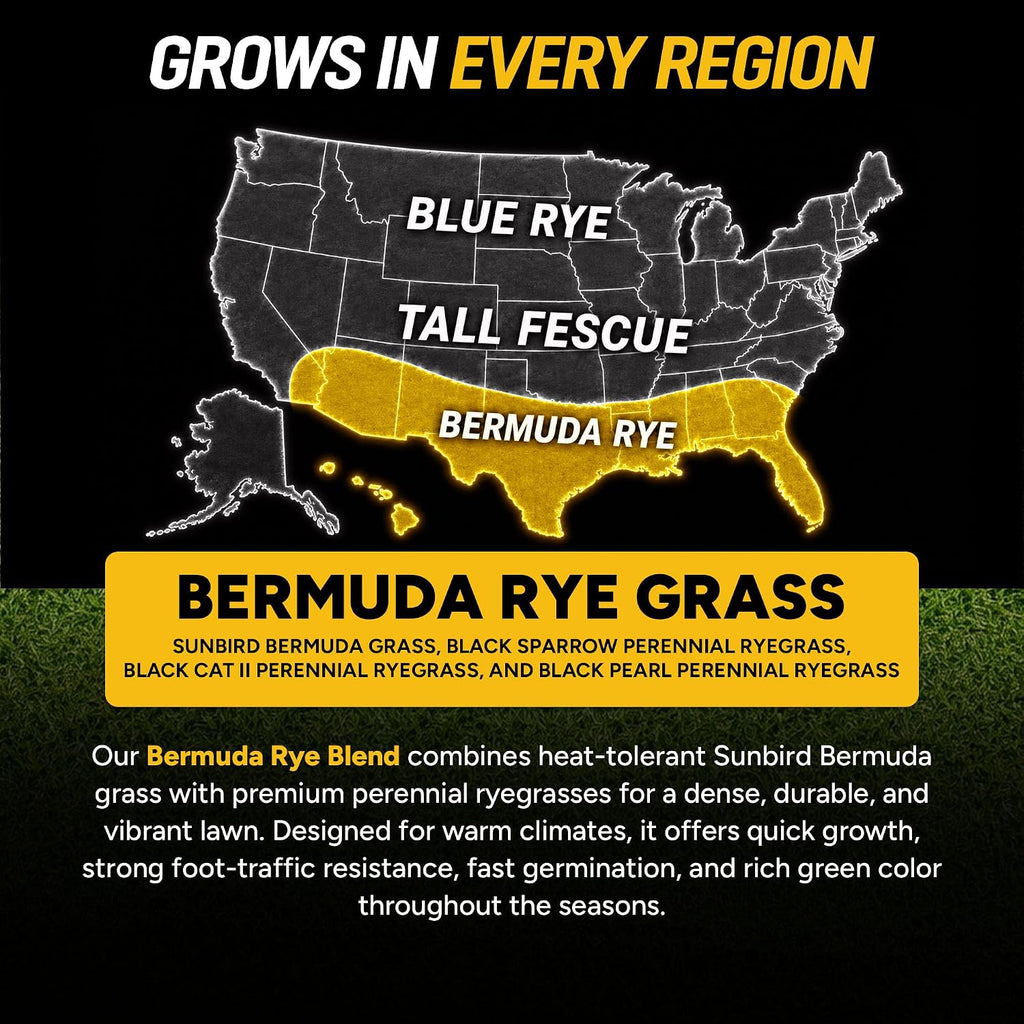 Growtrax Biodegradable Grass Seed - 100 SQFT Bermuda Rye - Grass Seed and Fertilizer for Lawns, Dog Patches & Shade - Just Water & Grow - No Fake or Artificial Grass