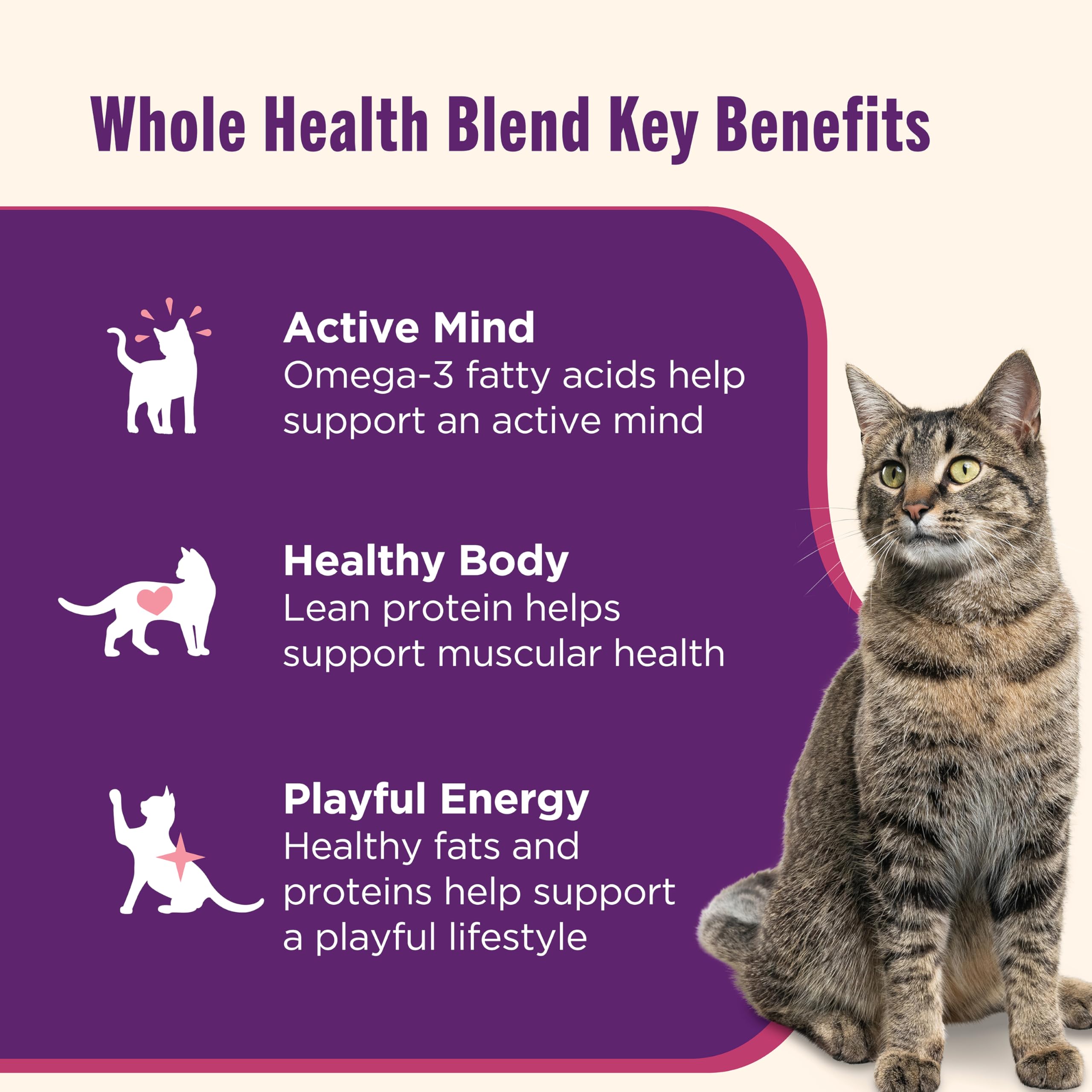 Nutrish Grain Free Wet Cat Food Ocean Fish-A-Licious Whole Health Blend with Real Flaked Ocean Fish & Tuna in Sauce, 2.8 oz. Cup (Rachael Ray) (Pack of 12)