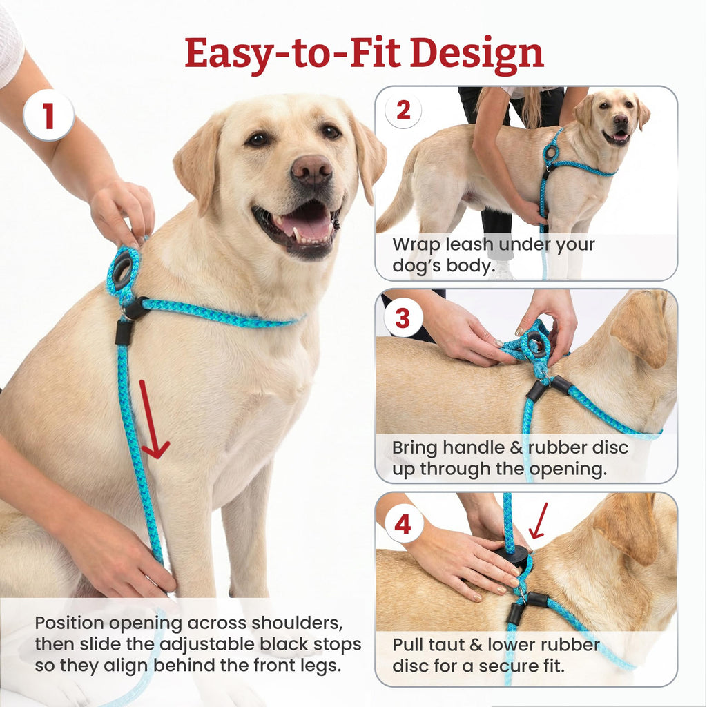 Harness Lead Escape Resistant, Reduces Pull Dog Harness, Medium/Large, Black