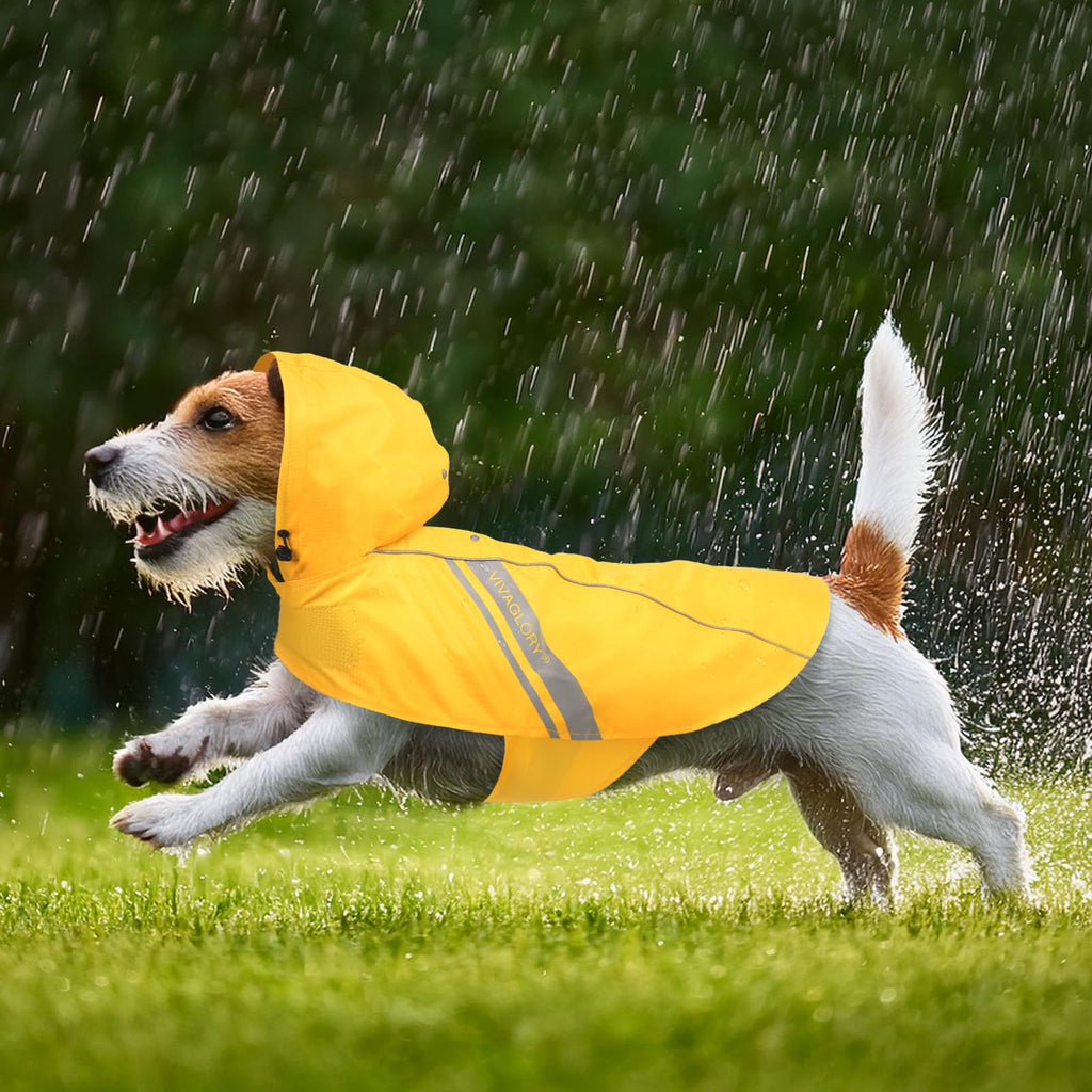 VIVAGLORY Wetoff Dog Raincoat, Rain Coat for Dog All Seasons Adventure, Rain Jacket with Harness Hole & Hood, Reflective Lightweight Waterproof for Doggy & Puppy, XXS, Blue