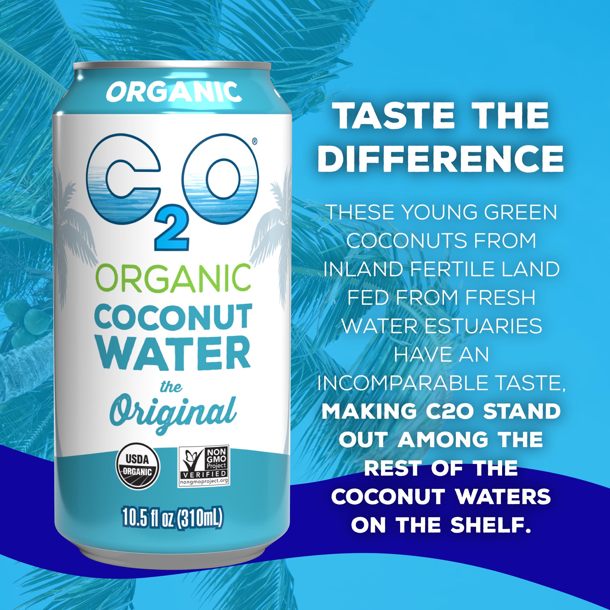 C2O - Coconut Water with Ginger, Lime, & Turmeric (12 Pack) - Made with Fresh Coconut Water - Plant Based - Non GMO - Canned Water - Natural Hydration, Electrolytes, & Potassium - 12 Cans, 17.5 FL OZ