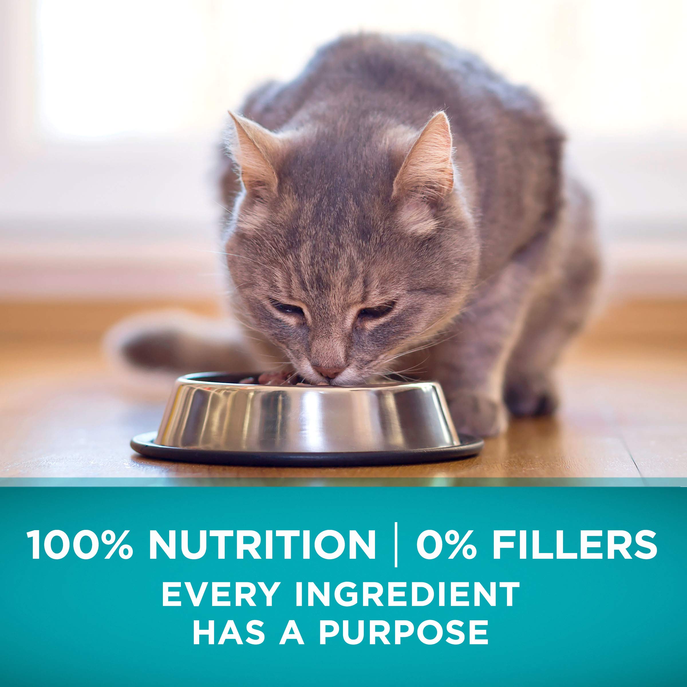 Purina ONE Natural High Protein Dry Dog Food Dry True Instinct with Real Beef and Salmon With Bone Broth and Added Vitamins, Minerals and Nutrients - 15 lb. Bag