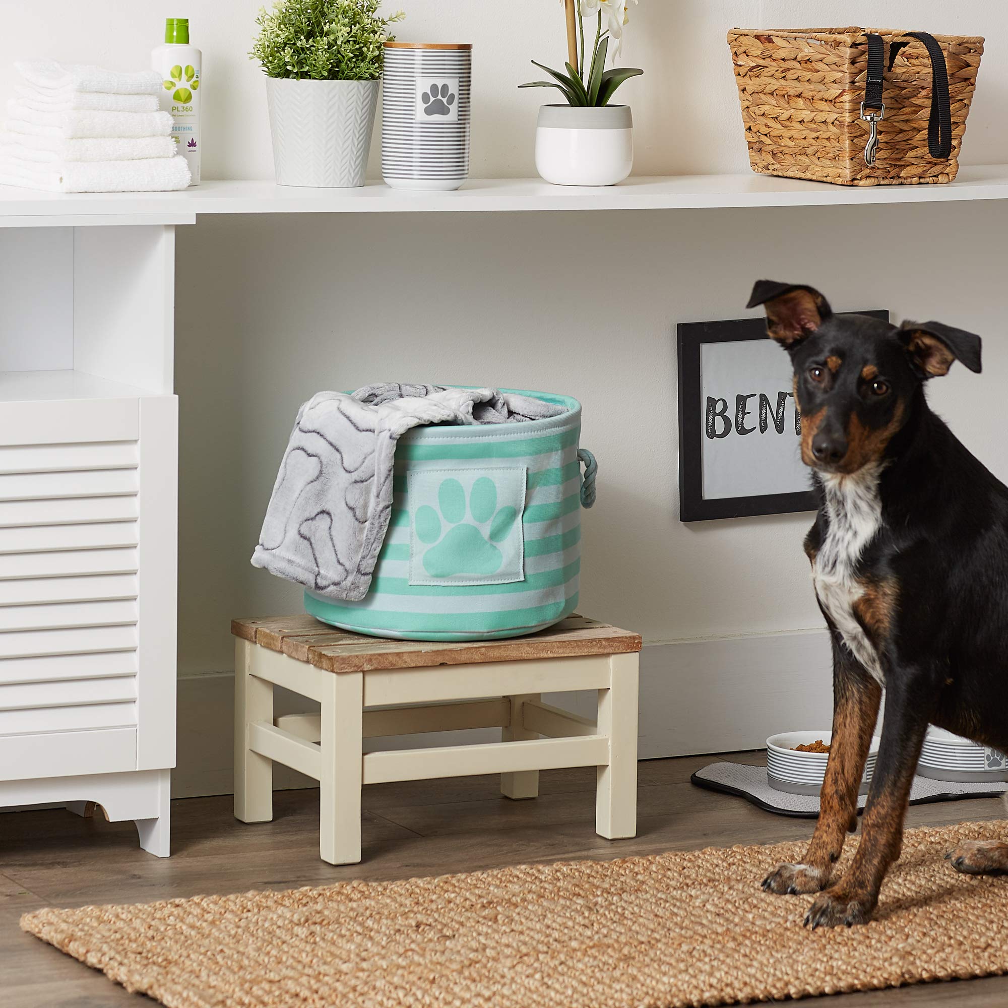 Bone Dry Pet Storage Collection Striped Paw Patch Bin, Aqua, Small Rectangle