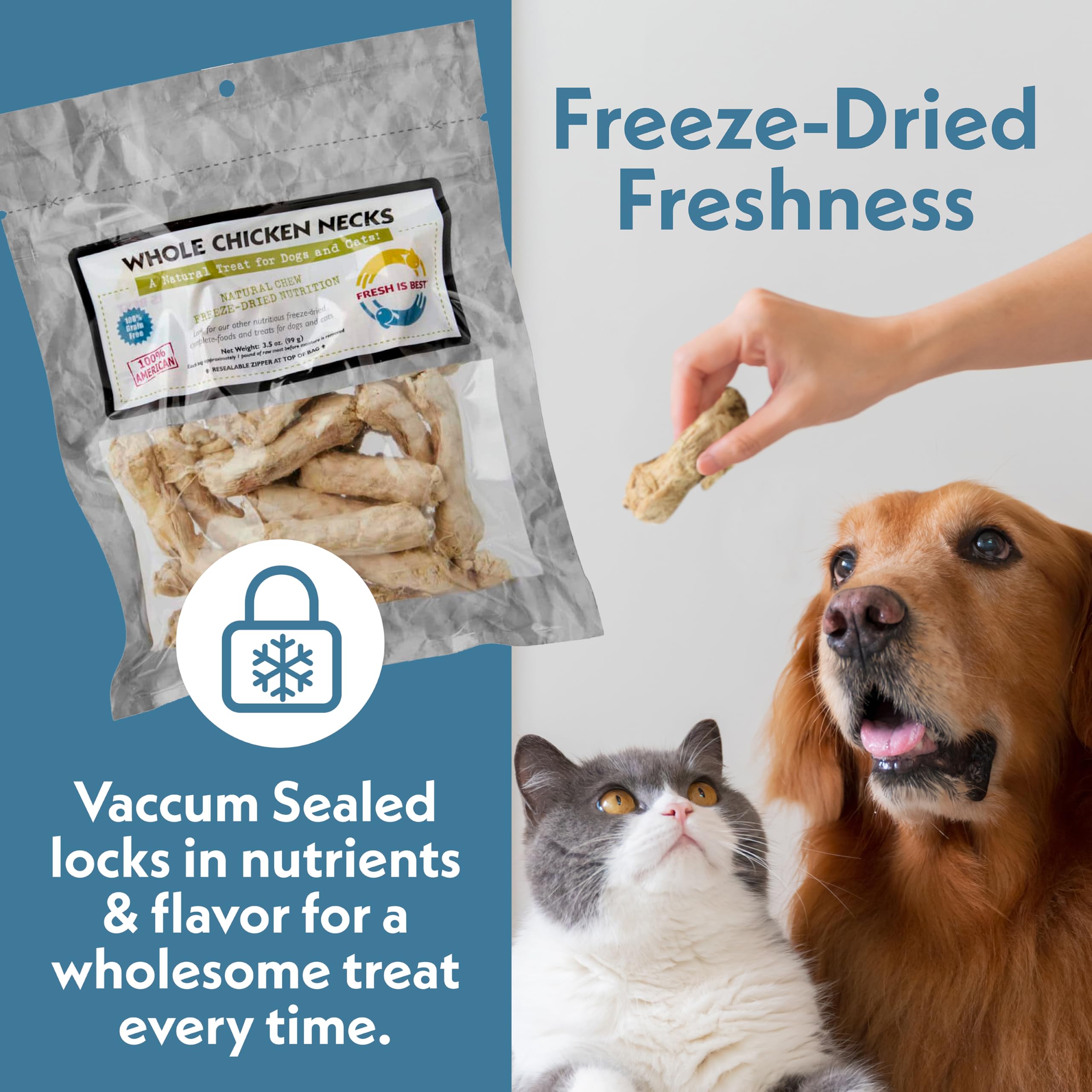 Fresh Is Best Freeze Dried Dog Treats - Raw Freeze Dried Chicken Breast for Dogs & Cats - Healthy Dog Training Treats in Resealable Zipper Bag - High-Protein Single Ingredient - Made in the USA