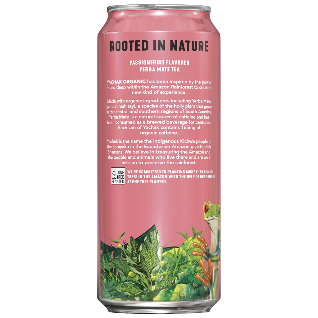 Yachak Yerba Mate Drink, Blackberry, 16 Fl Oz Cans, Pack of 12