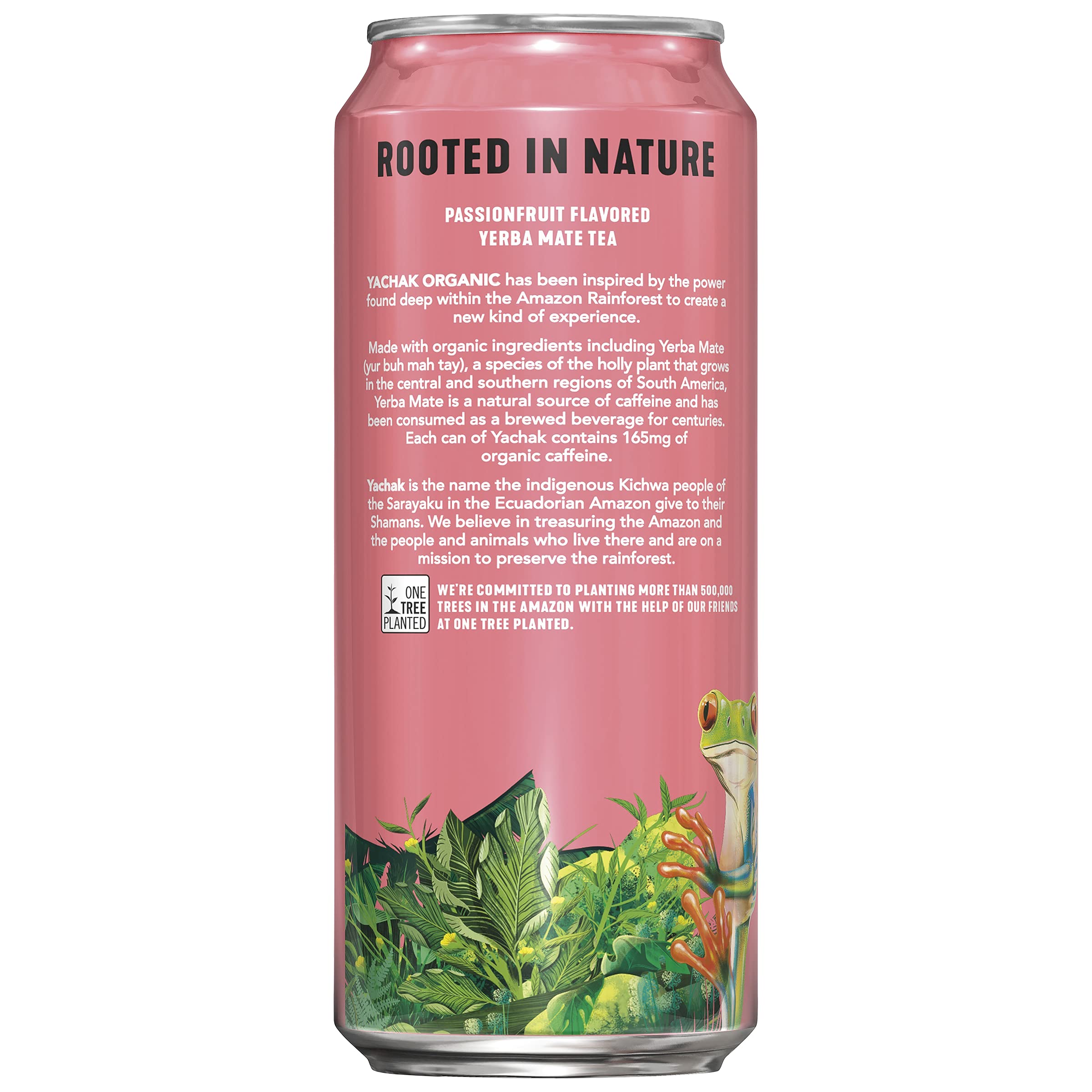 Yachak Yerba Mate Drink, Blackberry, 16 Fl Oz Cans, Pack of 12