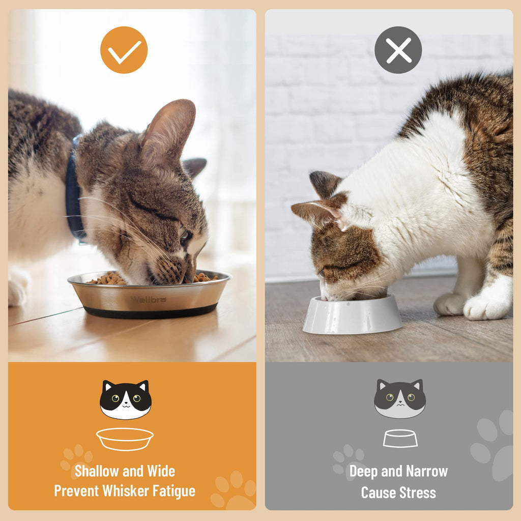 Cat Bowls, Stainless Steel Cat Bowls for Food and Water, Whisker Fatigue Shallow Non-Slip Dishes Plates for Small Dog Puppies Cats