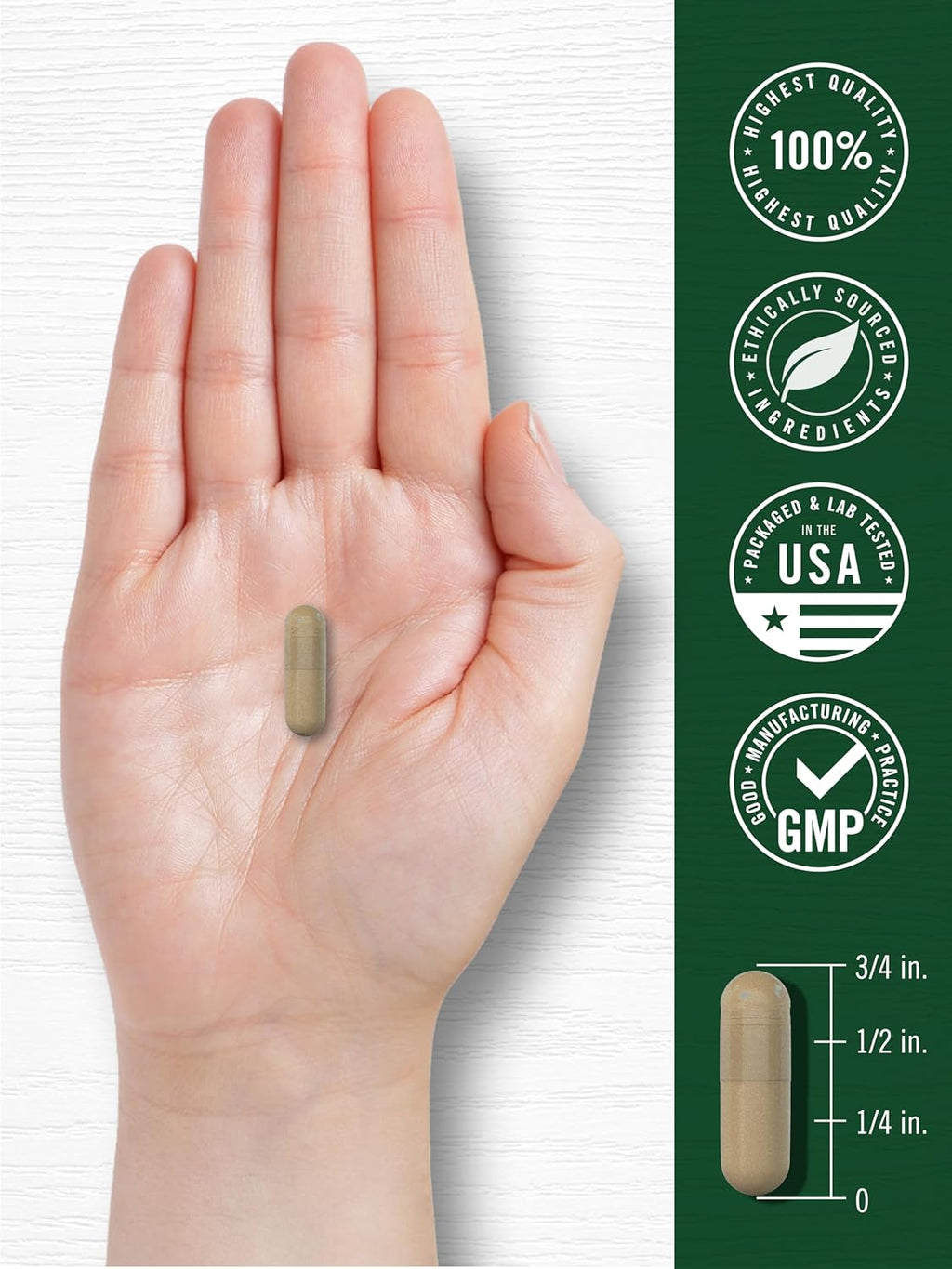 Carlyle Gotu Kola Supplement | 180 Capsules | Traditional Herbal Extract | Non-GMO & Gluten Free Formula