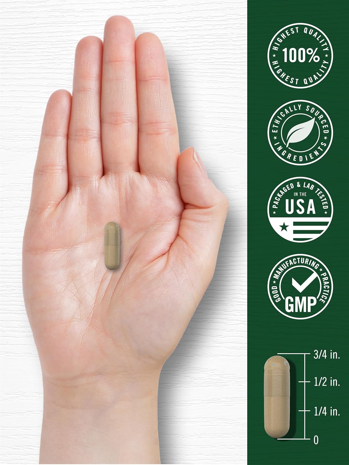 Carlyle Gotu Kola Supplement | 180 Capsules | Traditional Herbal Extract | Non-GMO & Gluten Free Formula