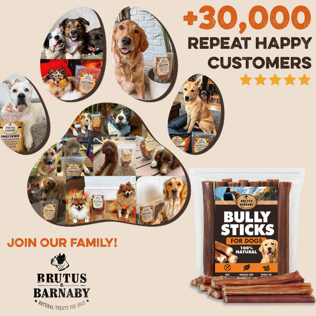 BRUTUS & BARNABY 6 Inch Bully Sticks for Dogs (10 Count) – Natural Grass-Fed Beef Chews, Odor Free, Single Ingredient, Fully Digestible, Rawhide Free for Small, Medium & Large Dogs