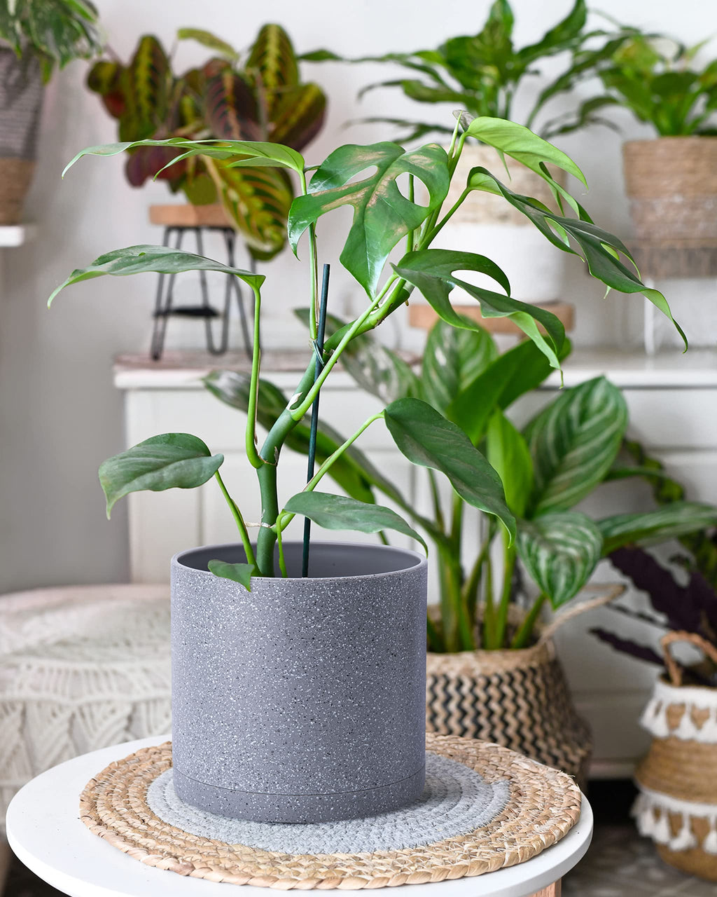 D'vine Dev 6.5 Inch 8 Inch 10 Inch, Set of 3 Plastic Planter Pots for Plants with Drainage Hole and Seamless Saucers, Black Color, Large, 74-V-B-4