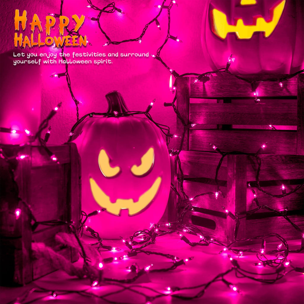 Christmas Lights Indoor Outdoor, 2PACK 13FT 50-count Lights Incandescent Mini valentine's day String Light, 120V Certified Green Wire Light for Xmas Tree, Patio, Holiday, Party, Home, Garden Decor,Red