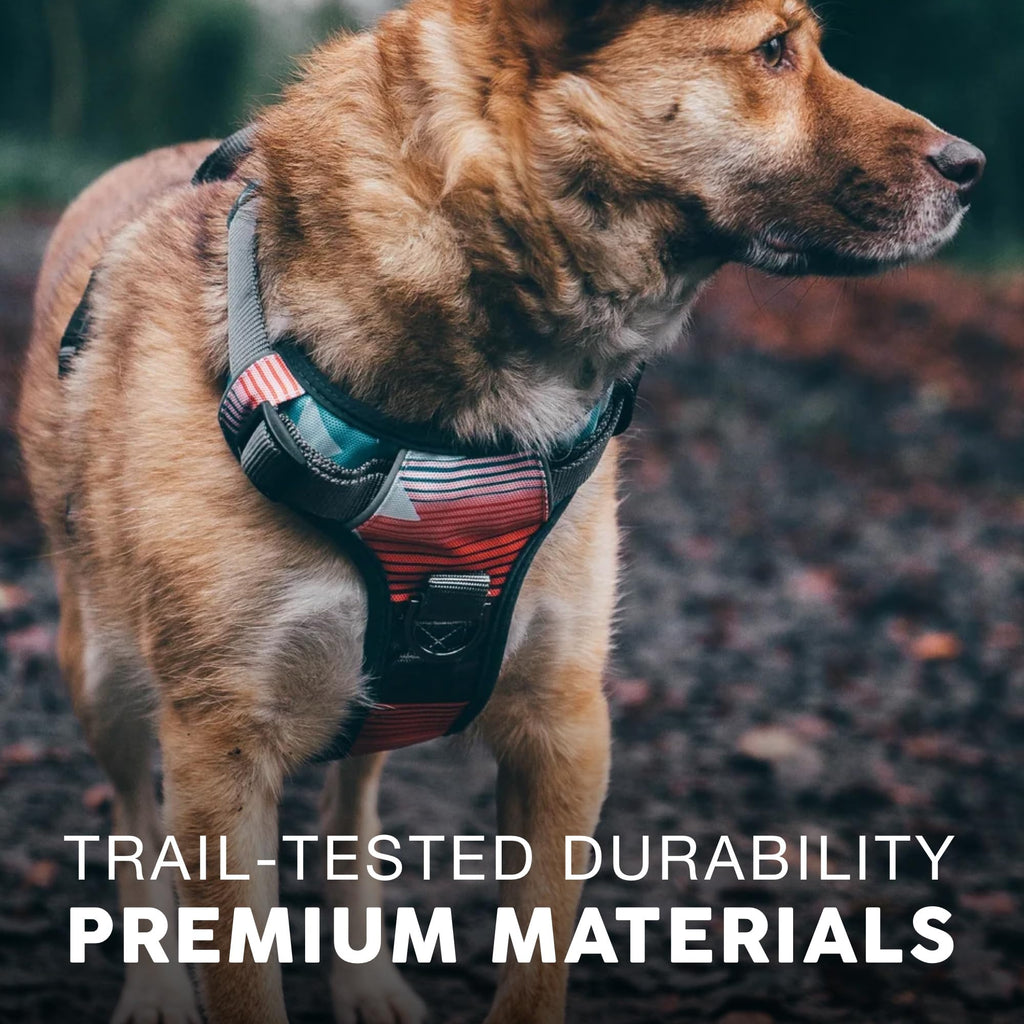 Embark Adventure Dog Harness for Small, Medium & Large Dogs – No Pull, Reflective Trim, Heavy Duty Oxford, 2 Leash Clips, Gel-Lined Handle, Soft Padded