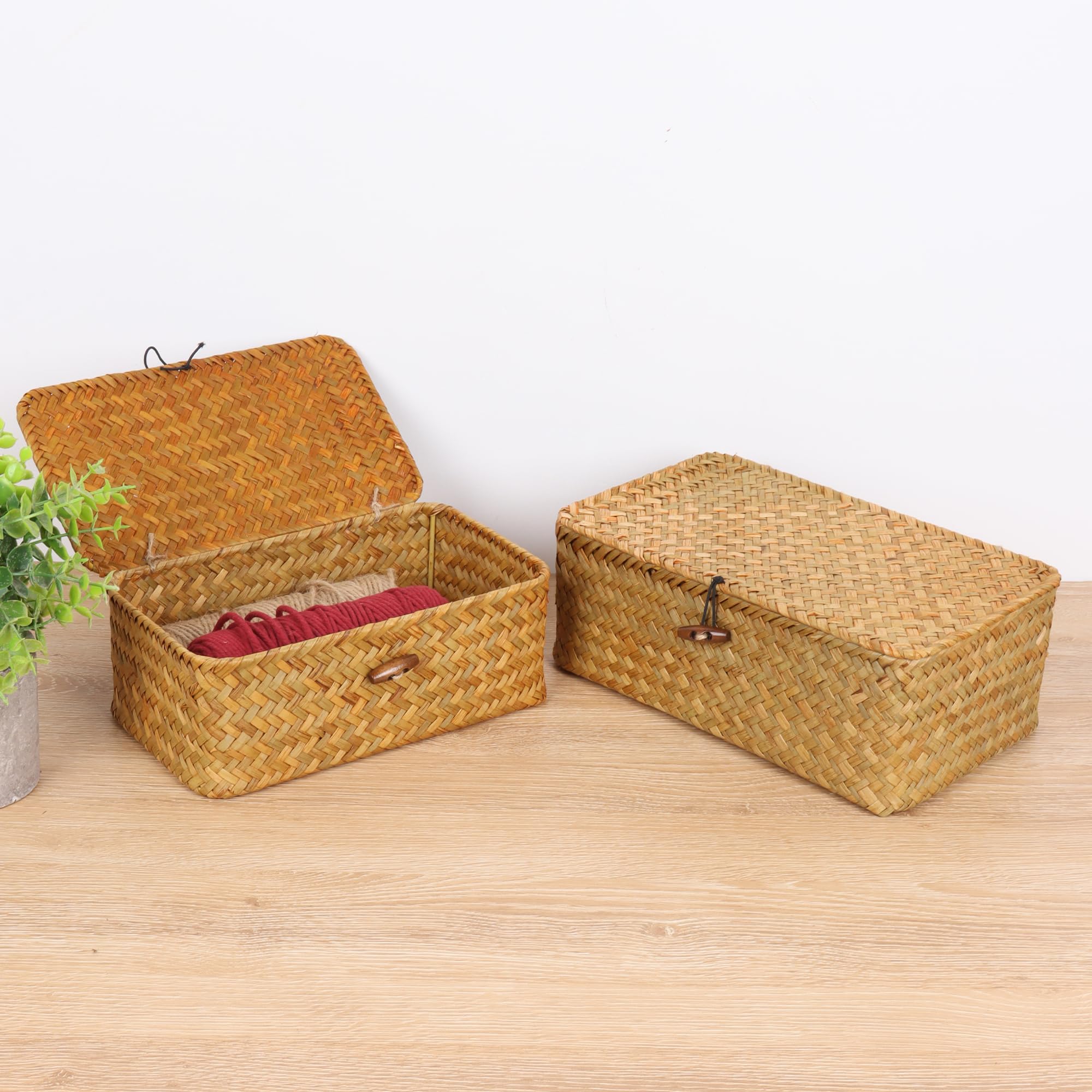 FEIALNDUO Wicker Shelf Baskets with Lid,Seagrass Storage Basket Bins Rectangular Handwoven Basket Boxes for Shelves Desktop Home Organizer (Coffee, X-Small)