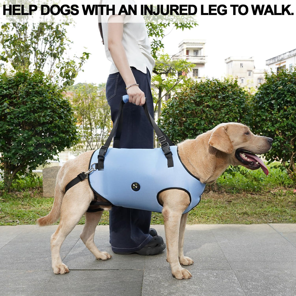 Coodeo Dog Lift Harness, Pet Support & Rehabilitation Sling Lift Adjustable Padded Breathable Straps for Old, Disabled, Joint Injuries, Arthritis, Loss of Stability Dogs Walk (Black, XS)