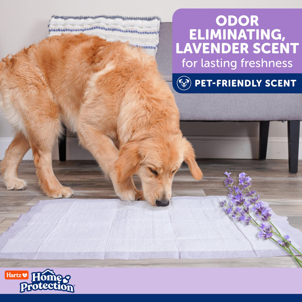 Hartz Home Protection Super Absorbent Odor Eliminating Lavender Scented No Leak Dog Pads, 50 count