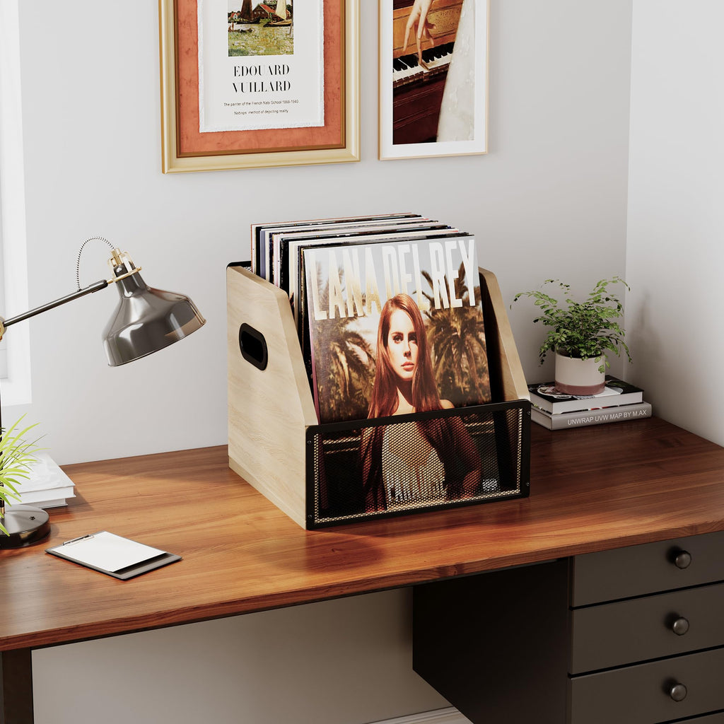 Homeiju Vinyl Record Storage, Record Box Case Crate, Vinyl Record Album Holder, Desktop Metal & Wooden LP Record Crate, Holds up to 60 Records（Patent No.D1024563