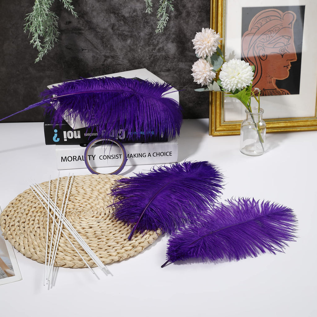 Ballinger Black Ostrich Feathers Bulk - Making Kit 12Pcs 16-18inch Large Ostrich Feathers for Floral Arrangement, Vase, Wedding Party Centerpieces and Halloween Home Decor