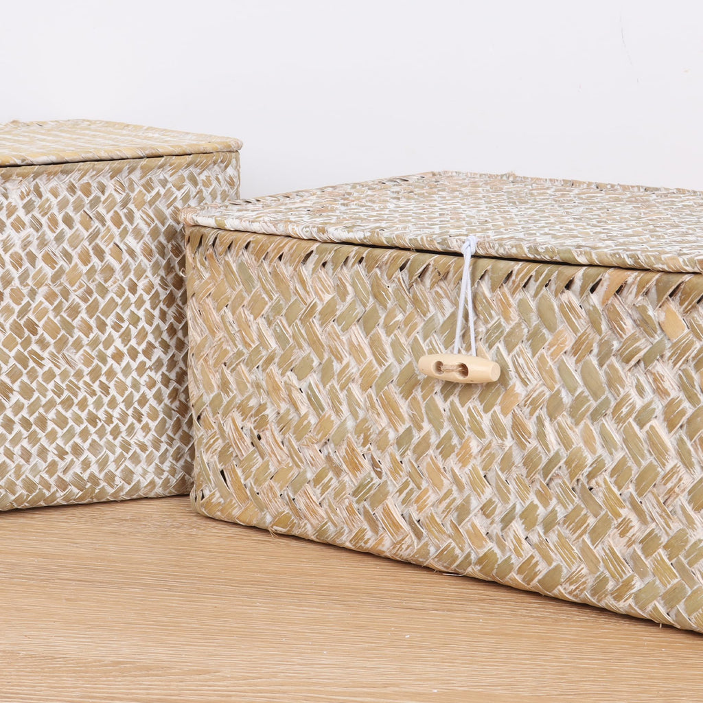 FEIALNDUO Wicker Shelf Baskets with Lid,Seagrass Storage Basket Bins Rectangular Handwoven Basket Boxes for Shelves Desktop Home Organizer (Coffee, X-Small)