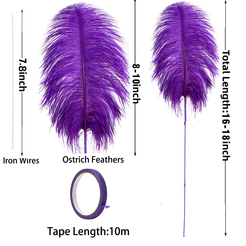 Ballinger Black Ostrich Feathers Bulk - Making Kit 12Pcs 16-18inch Large Ostrich Feathers for Floral Arrangement, Vase, Wedding Party Centerpieces and Halloween Home Decor