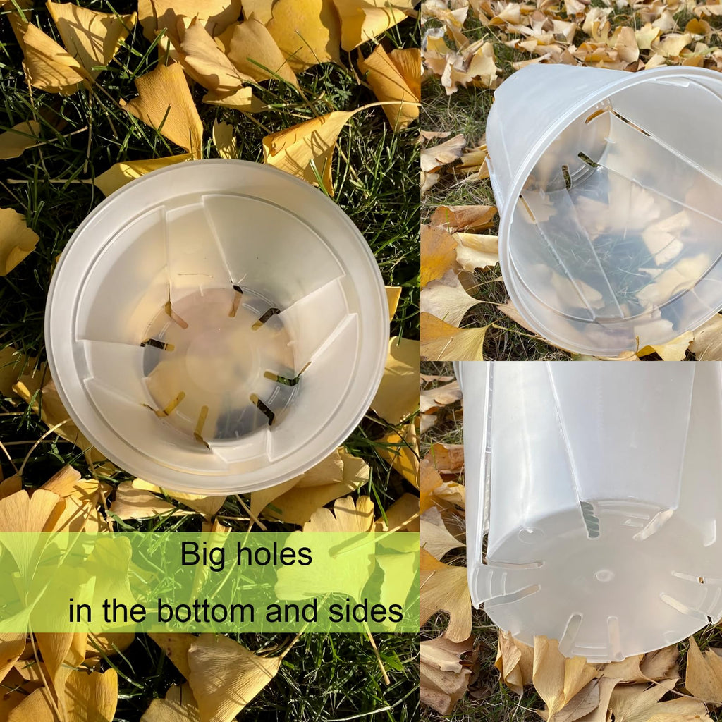 24 pcs 6/5 inch Clear Nursery pots for Plants Saucers,5/6 inch Clear Heavy pots with Side Vents for Reporting Orchids,Aroid,Monstera, Indoor & Outdoor use