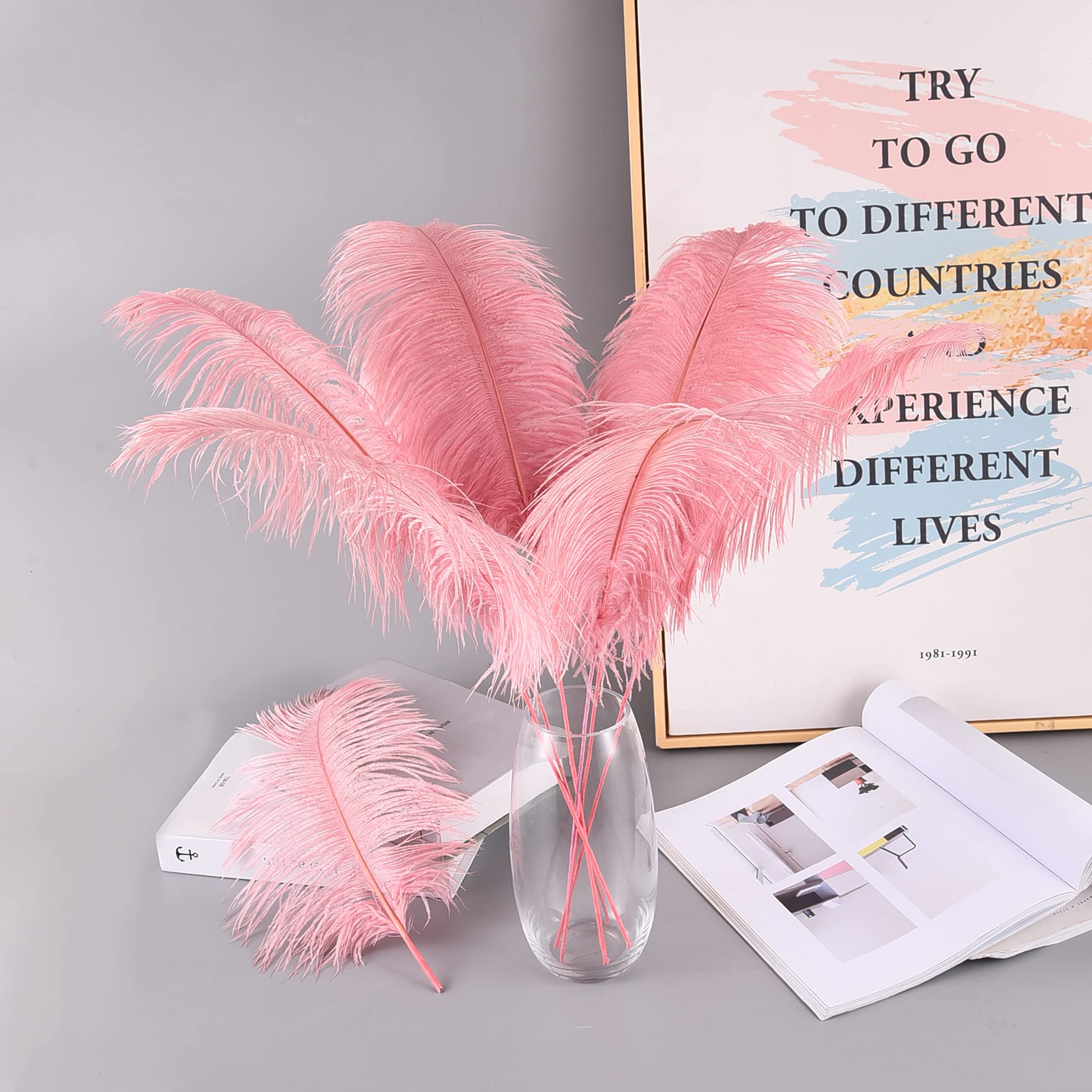 Ballinger Black Ostrich Feathers Bulk - Making Kit 12Pcs 16-18inch Large Ostrich Feathers for Floral Arrangement, Vase, Wedding Party Centerpieces and Halloween Home Decor
